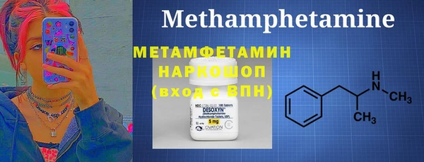 шишки Мегион