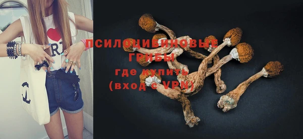 шишки Мегион
