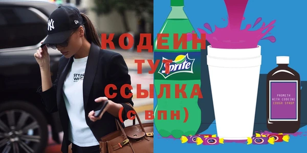 молекула духа Медвежьегорск