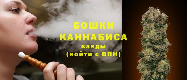 молекула духа Медвежьегорск