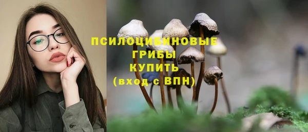 молекула духа Медвежьегорск