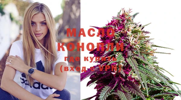 молекула духа Медвежьегорск