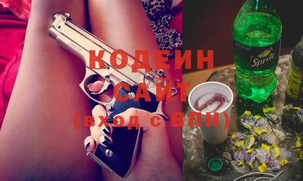 молекула духа Медвежьегорск
