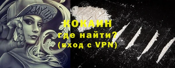 шишки Мегион