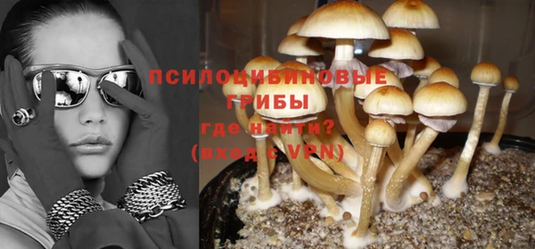 шишки Мегион