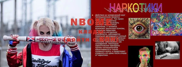 шишки Мегион