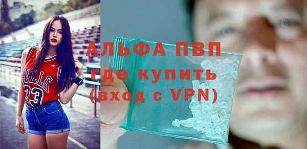 шишки Мегион
