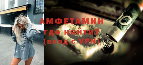 шишки Мегион