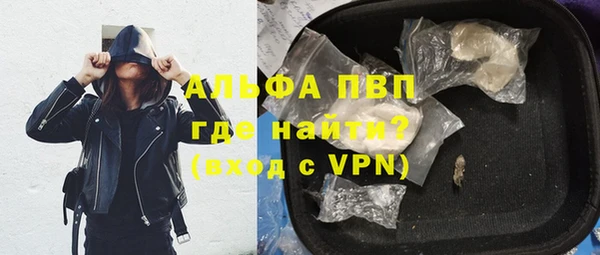 молекула духа Медвежьегорск
