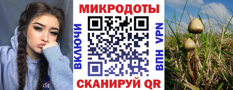 Псилоцибиновые грибы прущие грибы  наркотики  ОМГ ОМГ сайт  Новотроицк 