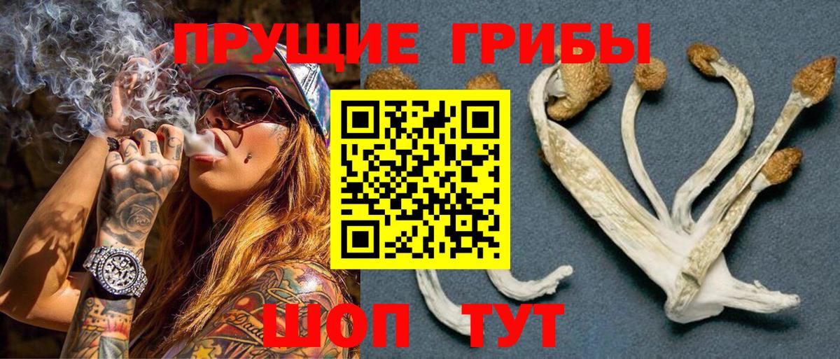 Псилоцибиновые грибы ЛСД Новотроицк