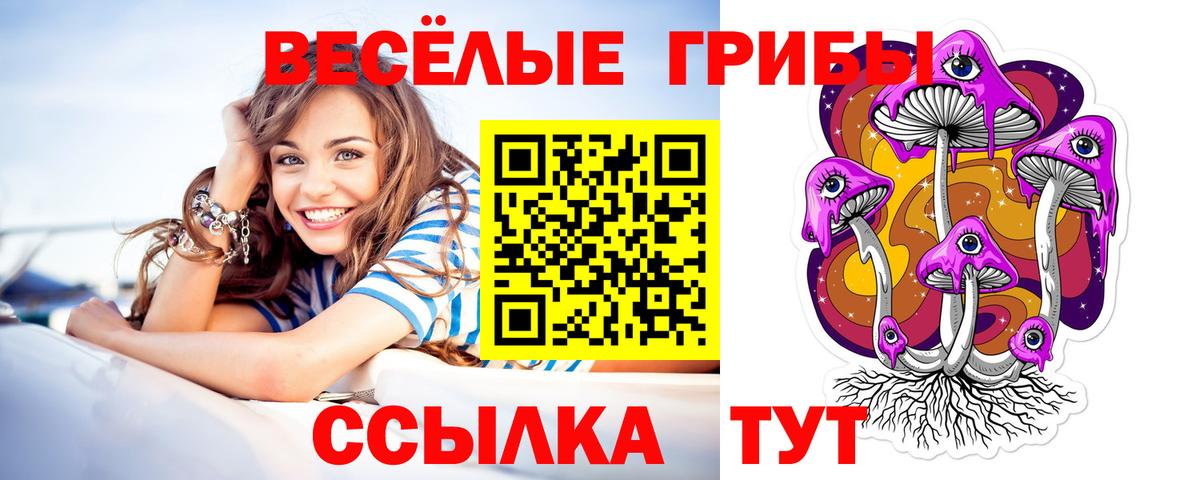 ГАШ Новотроицк